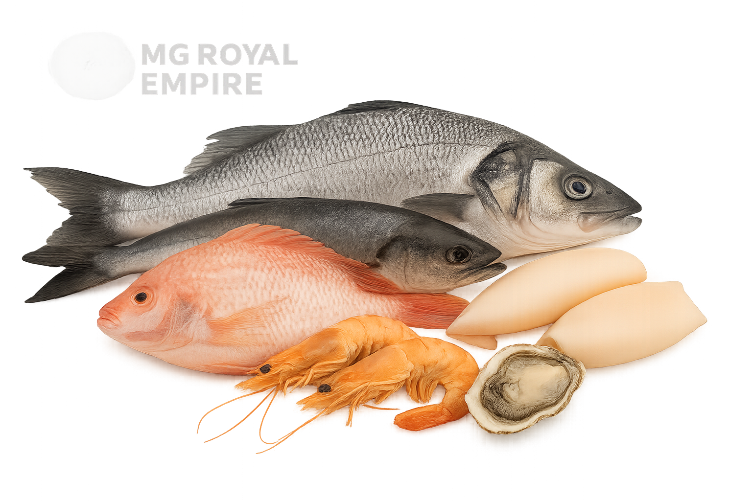 Fresh fish and seafood assortment – prawns, squid, oysters, and fish from MG Royal Empire, Tujereng, The Gambia.