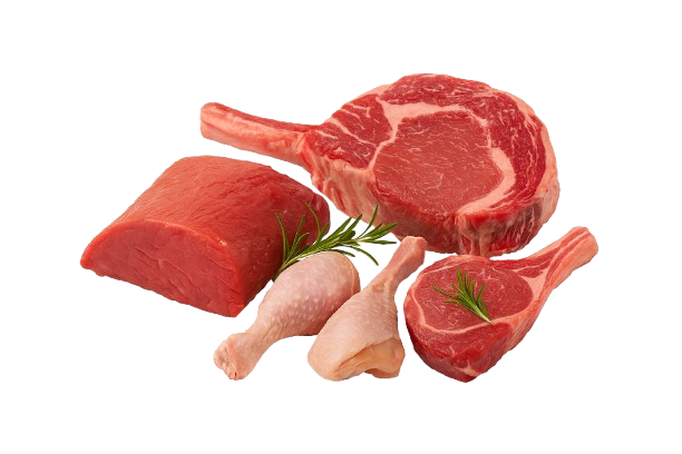 Premium selection of fresh beef, goat, and poultry meat — sourced from certified farms across West Africa.